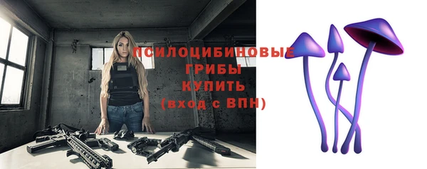 метадон Медвежьегорск