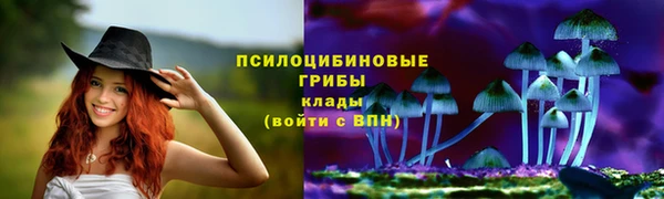 соль курить ск Медногорск
