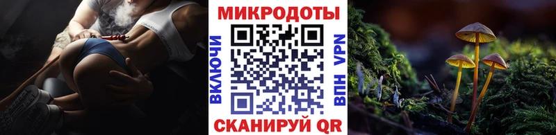 Псилоцибиновые грибы Psilocybine cubensis  маркетплейс официальный сайт  Усть-Катав  hydra как войти 